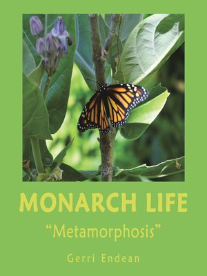 cover image of Monarch Life